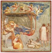 GIOTTO di Bondone Birth of Christ oil